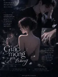 Ảnh bìa của Giấc Mộng Gió Trăng