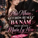Phu Nhân Kết Hôn Bí Mật Ba Năm Nhất Quyết Muốn Ly Hôn
