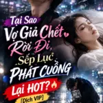 Vợ Giả Chết Rời Đi, Sếp Lục Phát Cuồng
