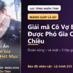 Ảnh minh họa: Mảnh Giáp, Đoàn Sủng, Vả Mặt Là Gì? Giải Mã Cô Vợ Bí Ẩn Được