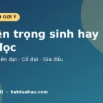 Top 5 truyện trọng sinh hay trên Hạt Dưa Hấu