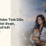 Tóm tắt Thâm Tình Dẫn Dụ từng giai đoạn, không spoil kết