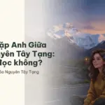 Review Gặp Anh Giữa Thảo Nguyên Tây Tạng: có đáng đọc không?